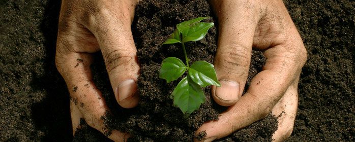 tuinaarde kopen en voordelig online bestellen